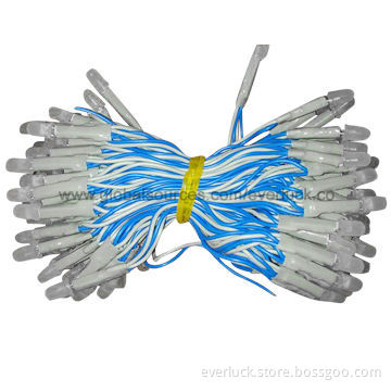 LED Holiday Decoration Light, Various Colors are Available